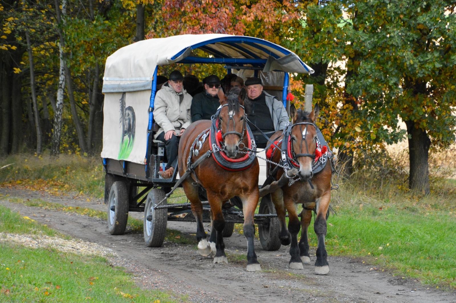 Zdjęcie w galerii na portalu naszraciborz.pl: Hubertus w Kornowacu – jeźdźcy, tradycja i dobra zabawa [FOTO i WIDEO] wiadomości z regionu