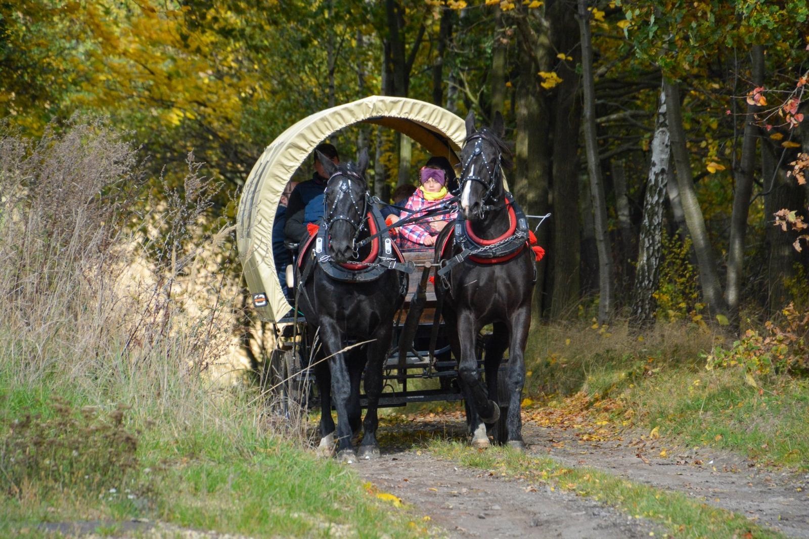 Zdjęcie w galerii na portalu naszraciborz.pl: Hubertus w Kornowacu – jeźdźcy, tradycja i dobra zabawa [FOTO i WIDEO] wiadomości z regionu