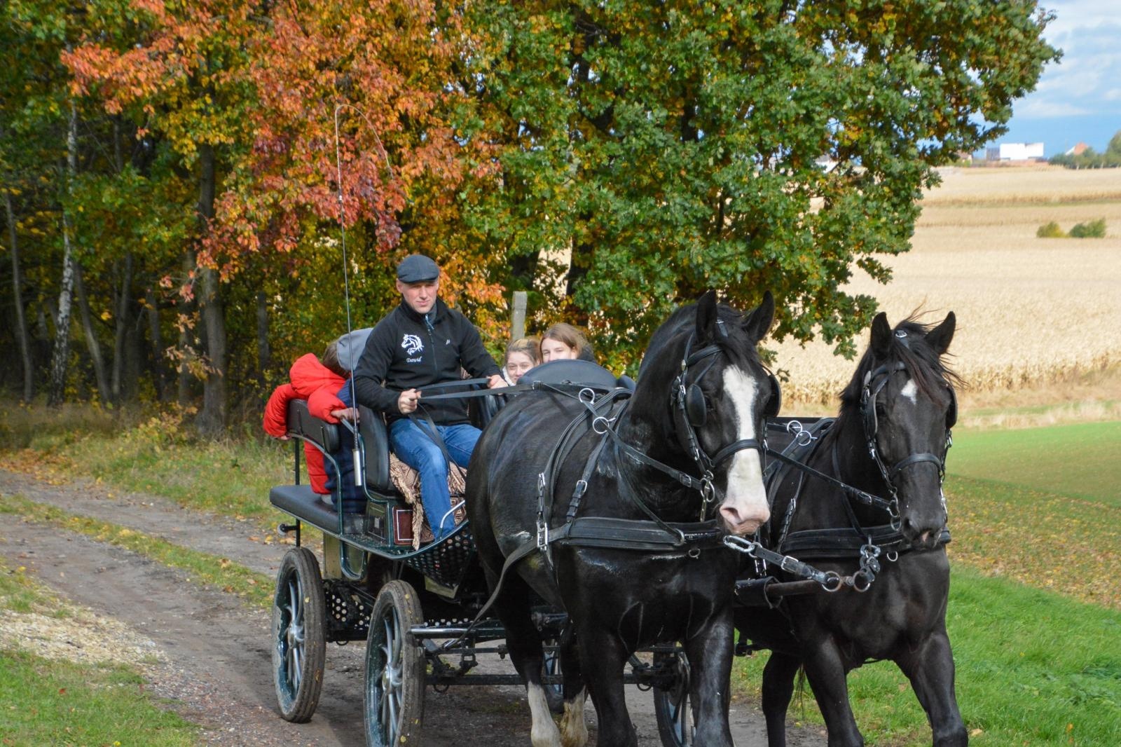 Zdjęcie w galerii na portalu naszraciborz.pl: Hubertus w Kornowacu – jeźdźcy, tradycja i dobra zabawa [FOTO i WIDEO] wiadomości z regionu