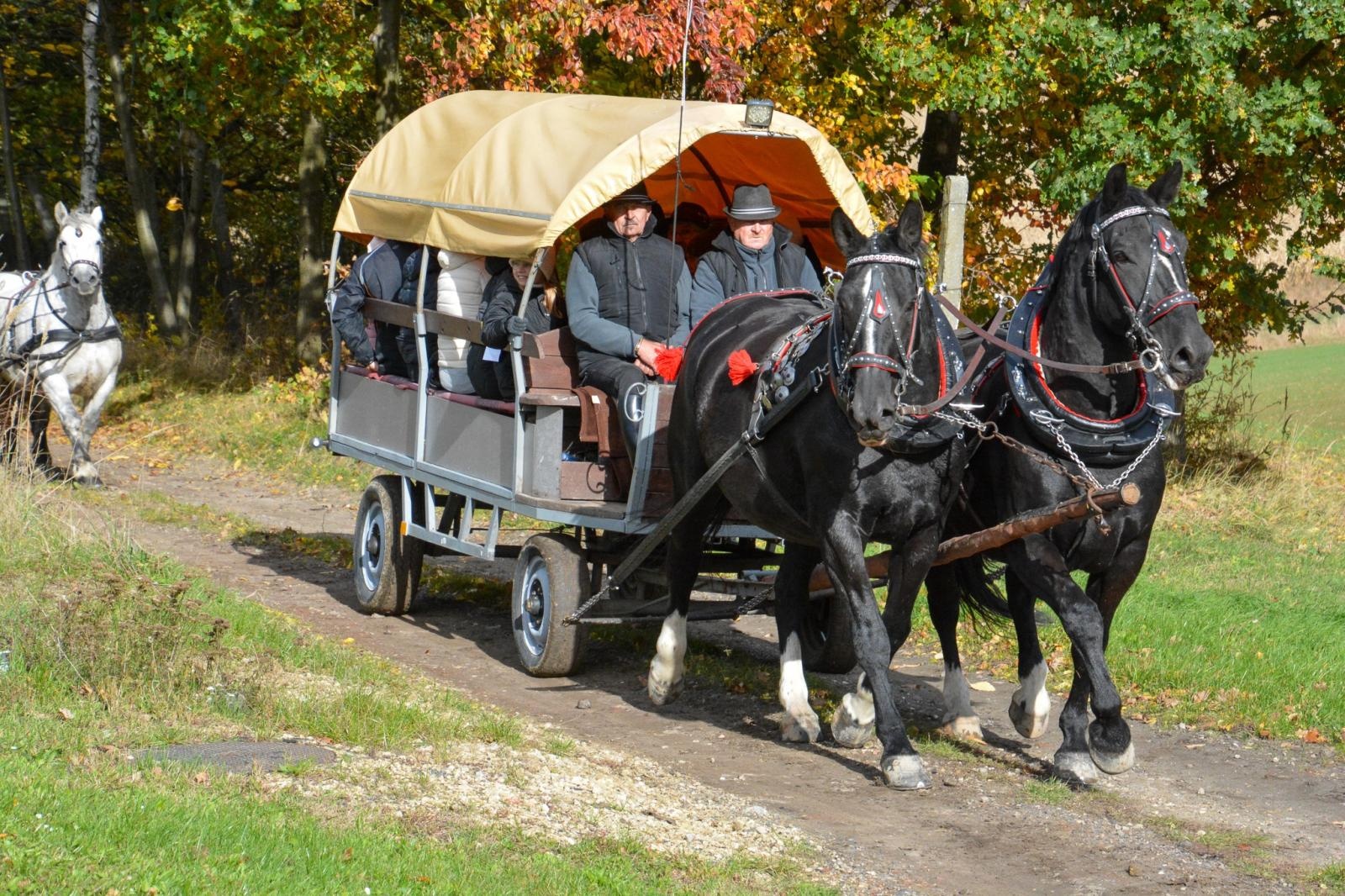 Zdjęcie w galerii na portalu naszraciborz.pl: Hubertus w Kornowacu – jeźdźcy, tradycja i dobra zabawa [FOTO i WIDEO] wiadomości z regionu