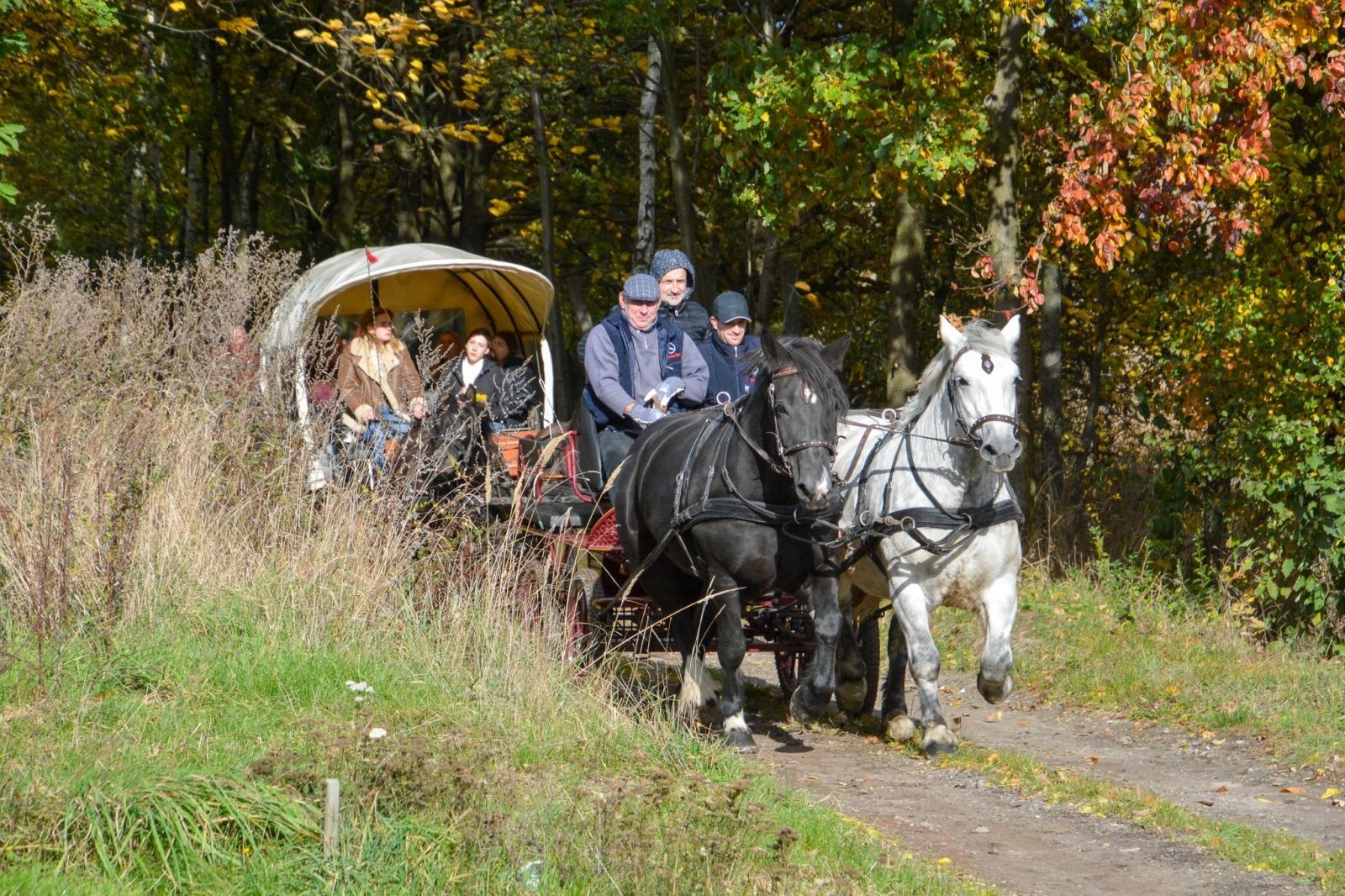 Zdjęcie w galerii na portalu naszraciborz.pl: Hubertus w Kornowacu – jeźdźcy, tradycja i dobra zabawa [FOTO i WIDEO] wiadomości z regionu