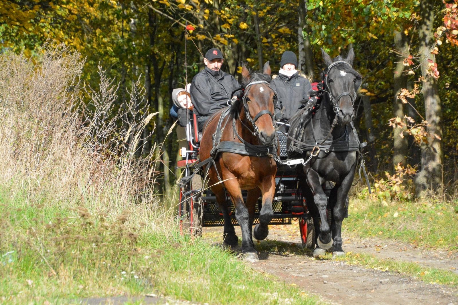 Zdjęcie w galerii na portalu naszraciborz.pl: Hubertus w Kornowacu – jeźdźcy, tradycja i dobra zabawa [FOTO i WIDEO] wiadomości z regionu