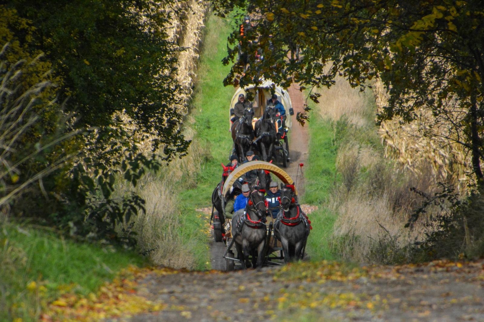 Zdjęcie w galerii na portalu naszraciborz.pl: Hubertus w Kornowacu – jeźdźcy, tradycja i dobra zabawa [FOTO i WIDEO] wiadomości z regionu