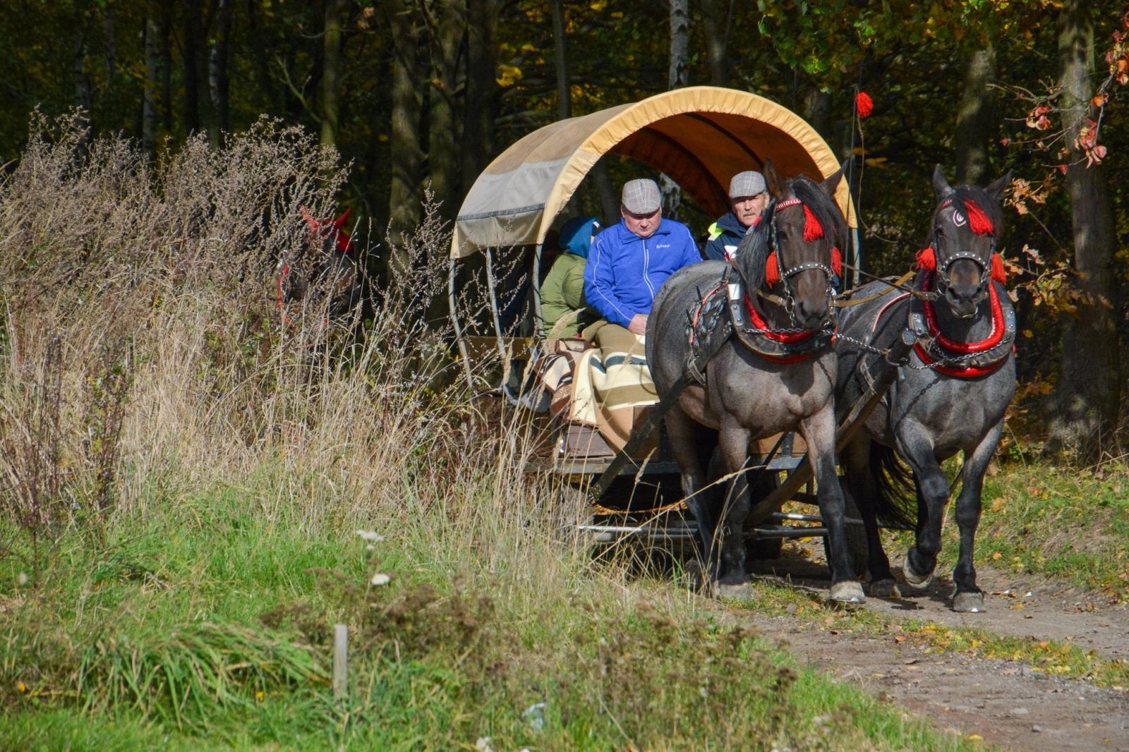 Zdjęcie w galerii na portalu naszraciborz.pl: Hubertus w Kornowacu – jeźdźcy, tradycja i dobra zabawa [FOTO i WIDEO] wiadomości z regionu