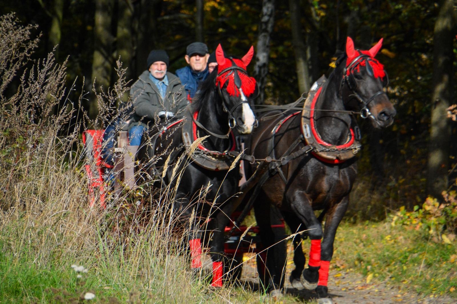 Zdjęcie w galerii na portalu naszraciborz.pl: Hubertus w Kornowacu – jeźdźcy, tradycja i dobra zabawa [FOTO i WIDEO] wiadomości z regionu