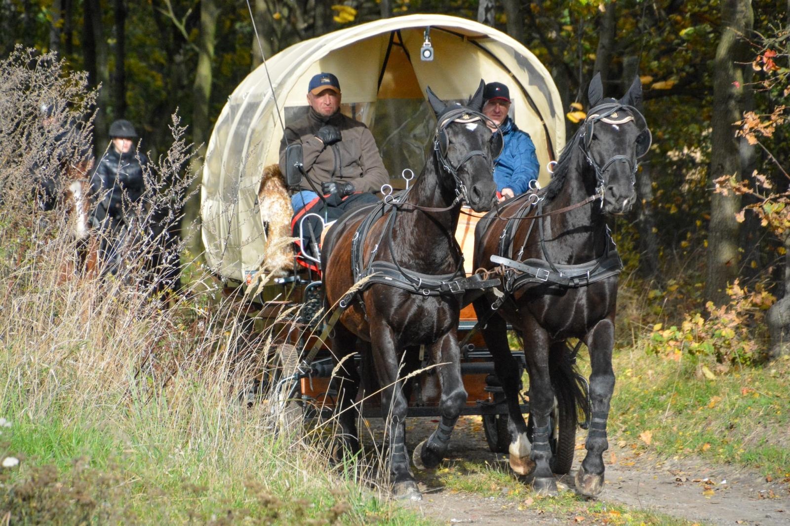 Zdjęcie w galerii na portalu naszraciborz.pl: Hubertus w Kornowacu – jeźdźcy, tradycja i dobra zabawa [FOTO i WIDEO] wiadomości z regionu