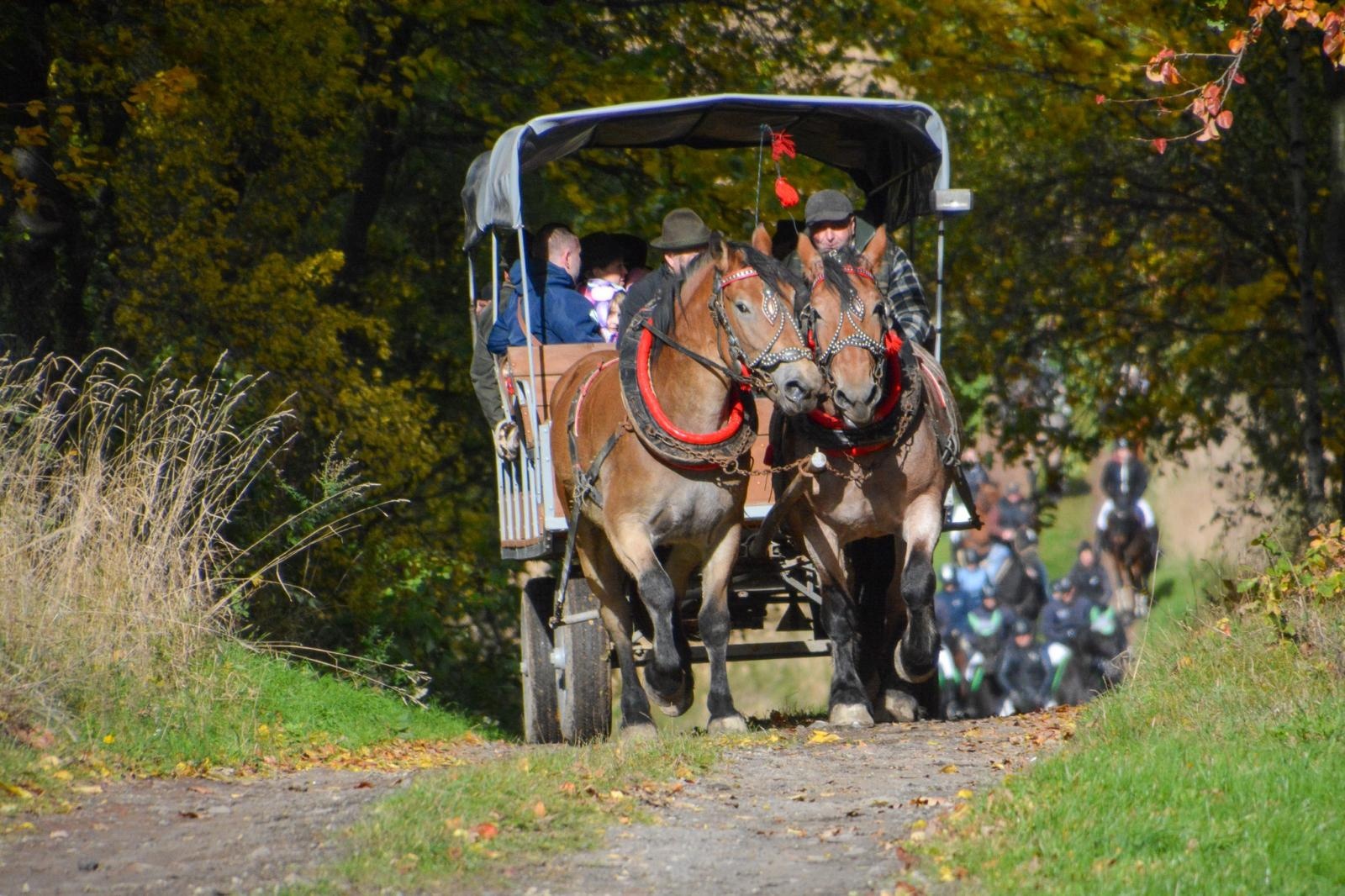 Zdjęcie w galerii na portalu naszraciborz.pl: Hubertus w Kornowacu – jeźdźcy, tradycja i dobra zabawa [FOTO i WIDEO] wiadomości z regionu