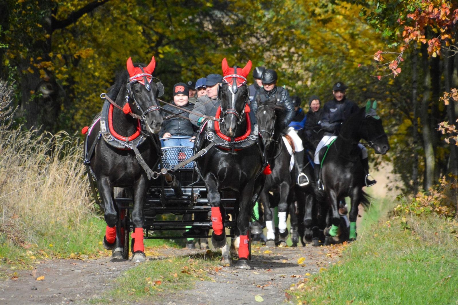 Zdjęcie w galerii na portalu naszraciborz.pl: Hubertus w Kornowacu – jeźdźcy, tradycja i dobra zabawa [FOTO i WIDEO] wiadomości z regionu