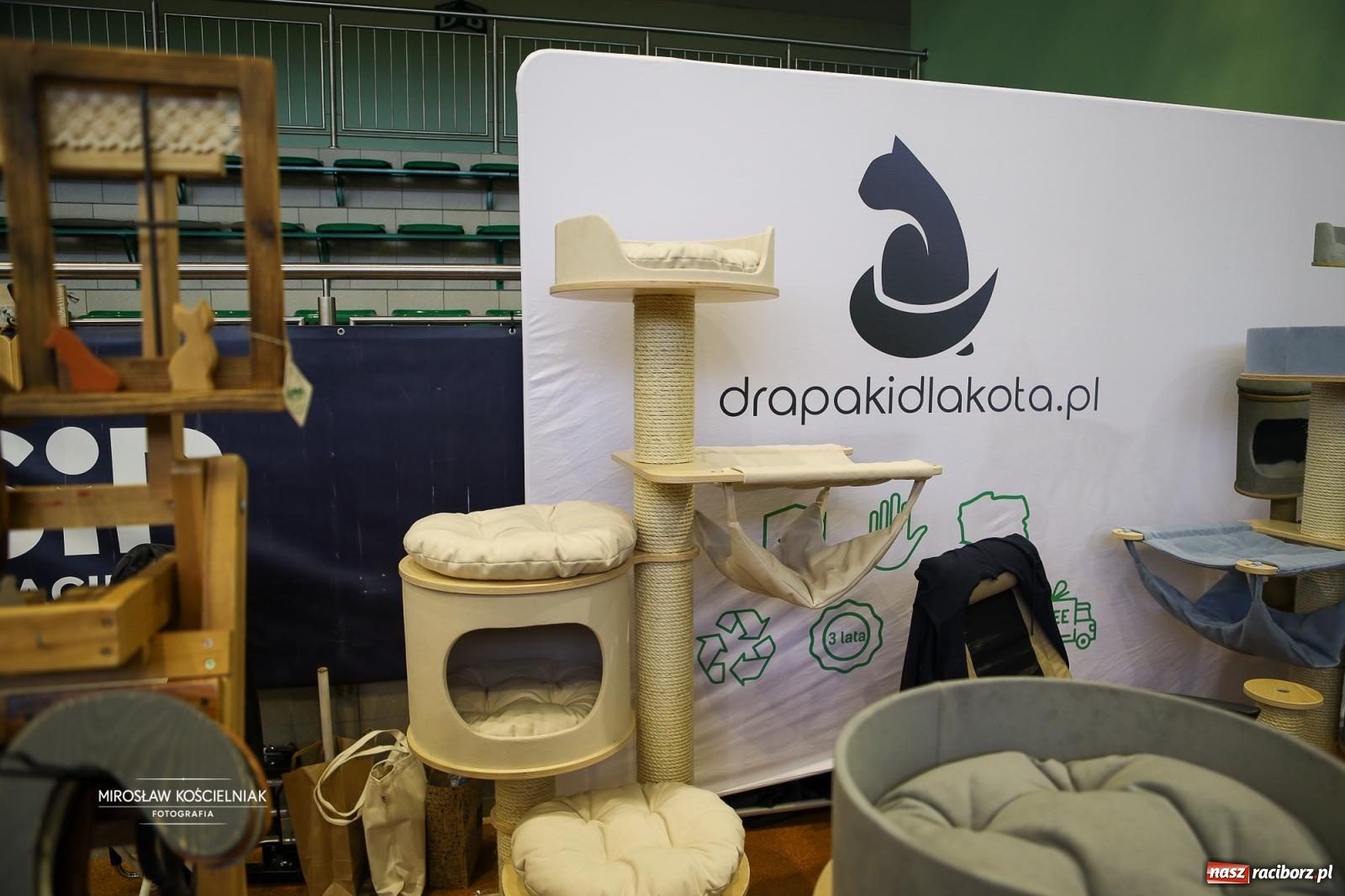 Zdjęcie w galerii na portalu naszraciborz.pl: Kocie piękno w Raciborzu. Trwa Międzynarodowa Wystawa Kotów w arenie Rafako wiadomości z regionu