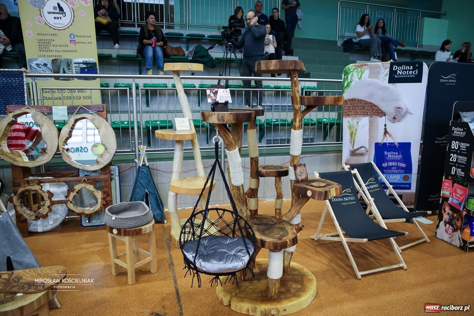 Zdjęcie w galerii na portalu naszraciborz.pl: Kocie piękno w Raciborzu. Trwa Międzynarodowa Wystawa Kotów w arenie Rafako wiadomości z regionu