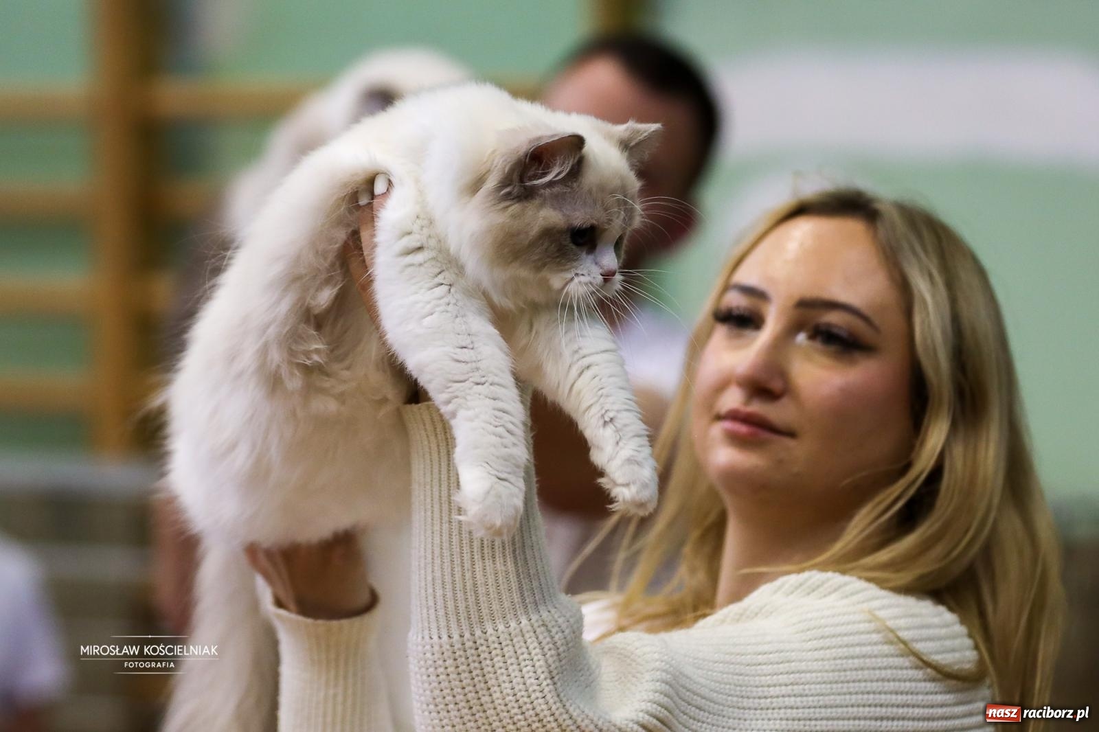 Zdjęcie w galerii na portalu naszraciborz.pl: Kocie piękno w Raciborzu. Trwa Międzynarodowa Wystawa Kotów w arenie Rafako wiadomości z regionu