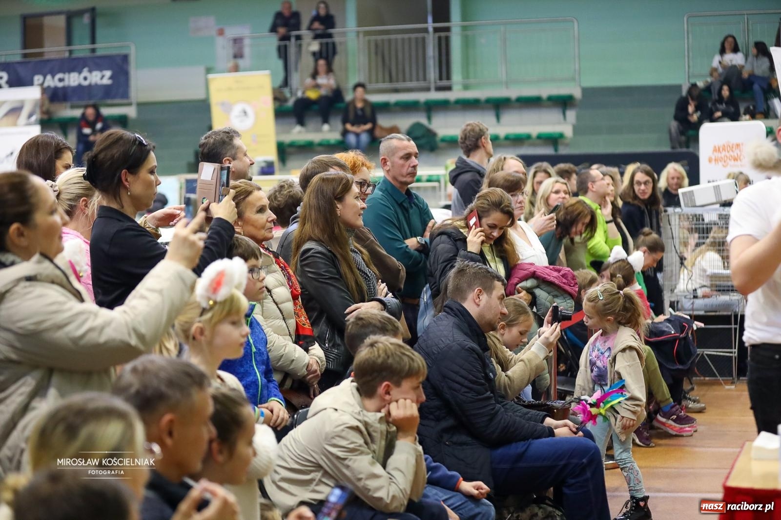 Zdjęcie w galerii na portalu naszraciborz.pl: Kocie piękno w Raciborzu. Trwa Międzynarodowa Wystawa Kotów w arenie Rafako wiadomości z regionu