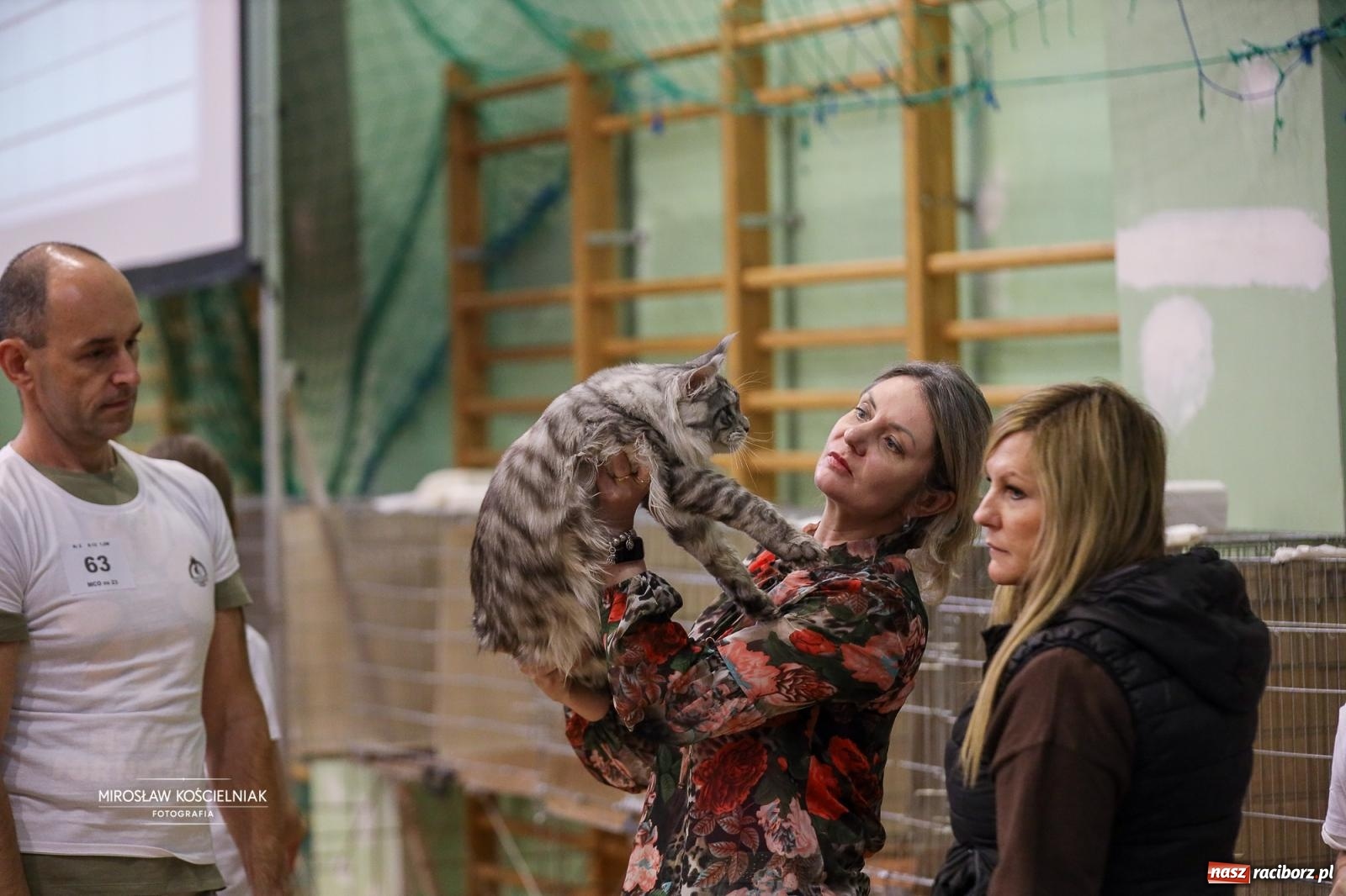 Zdjęcie w galerii na portalu naszraciborz.pl: Kocie piękno w Raciborzu. Trwa Międzynarodowa Wystawa Kotów w arenie Rafako wiadomości z regionu