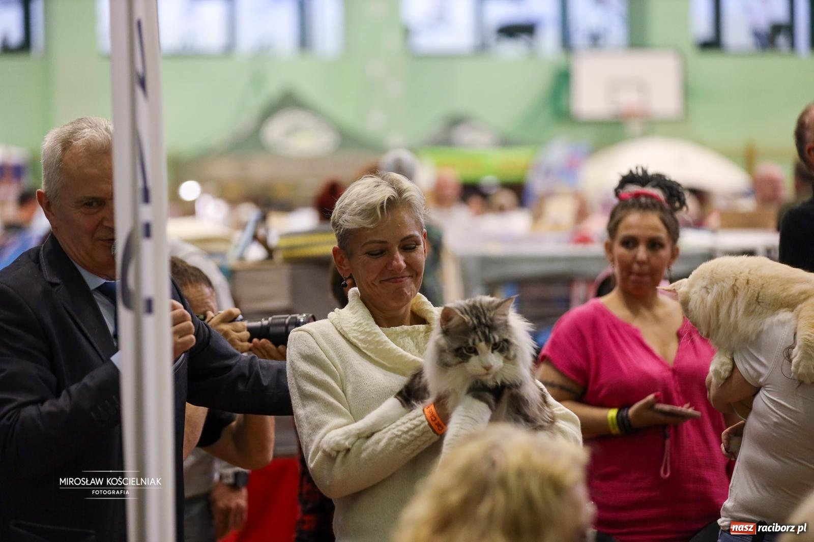 Zdjęcie w galerii na portalu naszraciborz.pl: Kocie piękno w Raciborzu. Trwa Międzynarodowa Wystawa Kotów w arenie Rafako wiadomości z regionu
