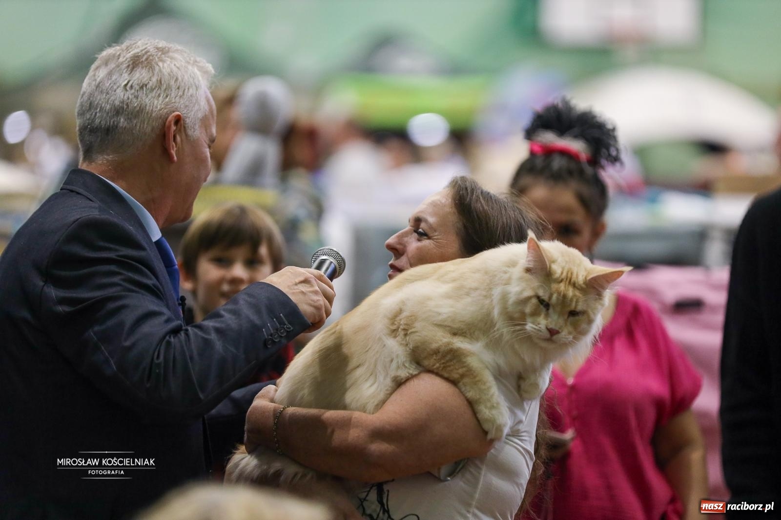 Zdjęcie w galerii na portalu naszraciborz.pl: Kocie piękno w Raciborzu. Trwa Międzynarodowa Wystawa Kotów w arenie Rafako wiadomości z regionu