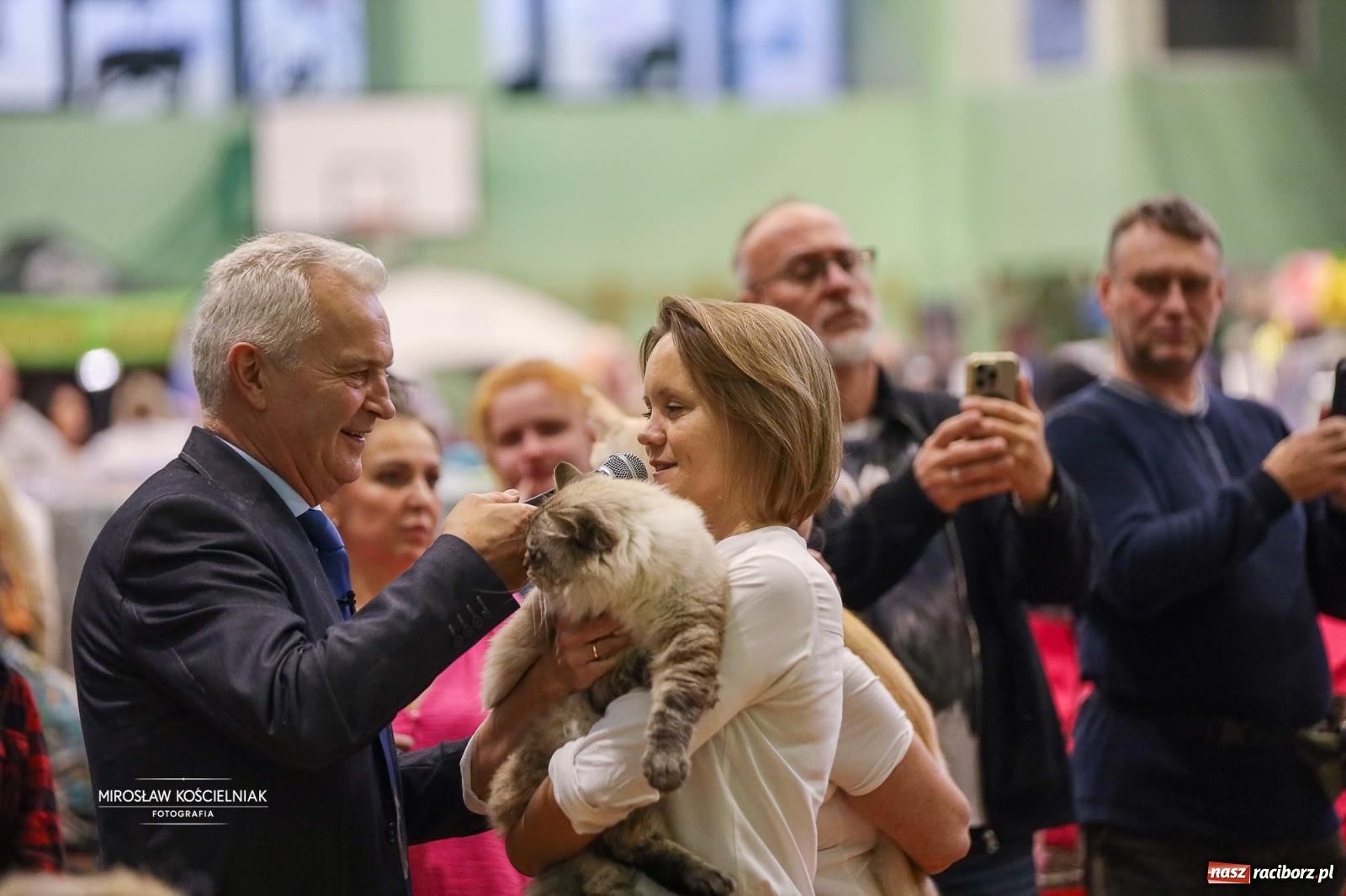 Zdjęcie w galerii na portalu naszraciborz.pl: Kocie piękno w Raciborzu. Trwa Międzynarodowa Wystawa Kotów w arenie Rafako wiadomości z regionu