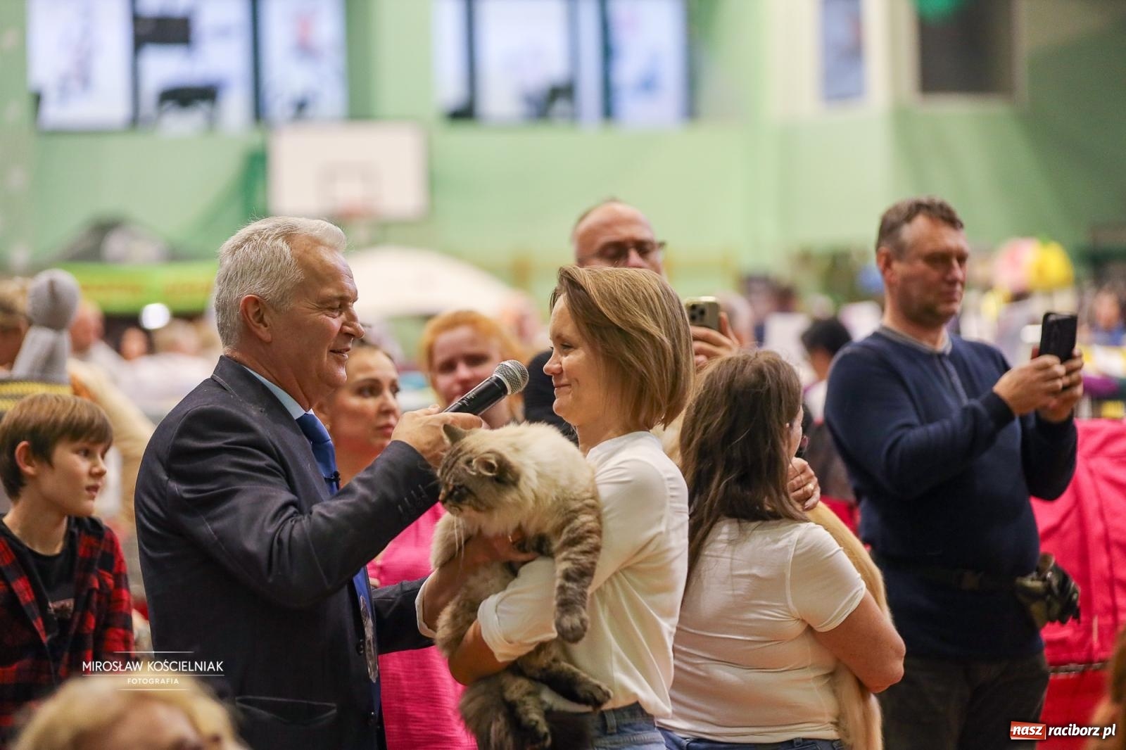 Zdjęcie w galerii na portalu naszraciborz.pl: Kocie piękno w Raciborzu. Trwa Międzynarodowa Wystawa Kotów w arenie Rafako wiadomości z regionu