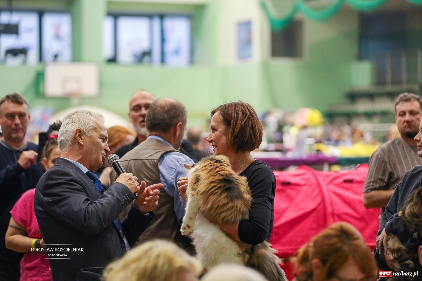 Zdjęcie w galerii na portalu naszraciborz.pl: Kocie piękno w Raciborzu. Trwa Międzynarodowa Wystawa Kotów w arenie Rafako wiadomości z regionu