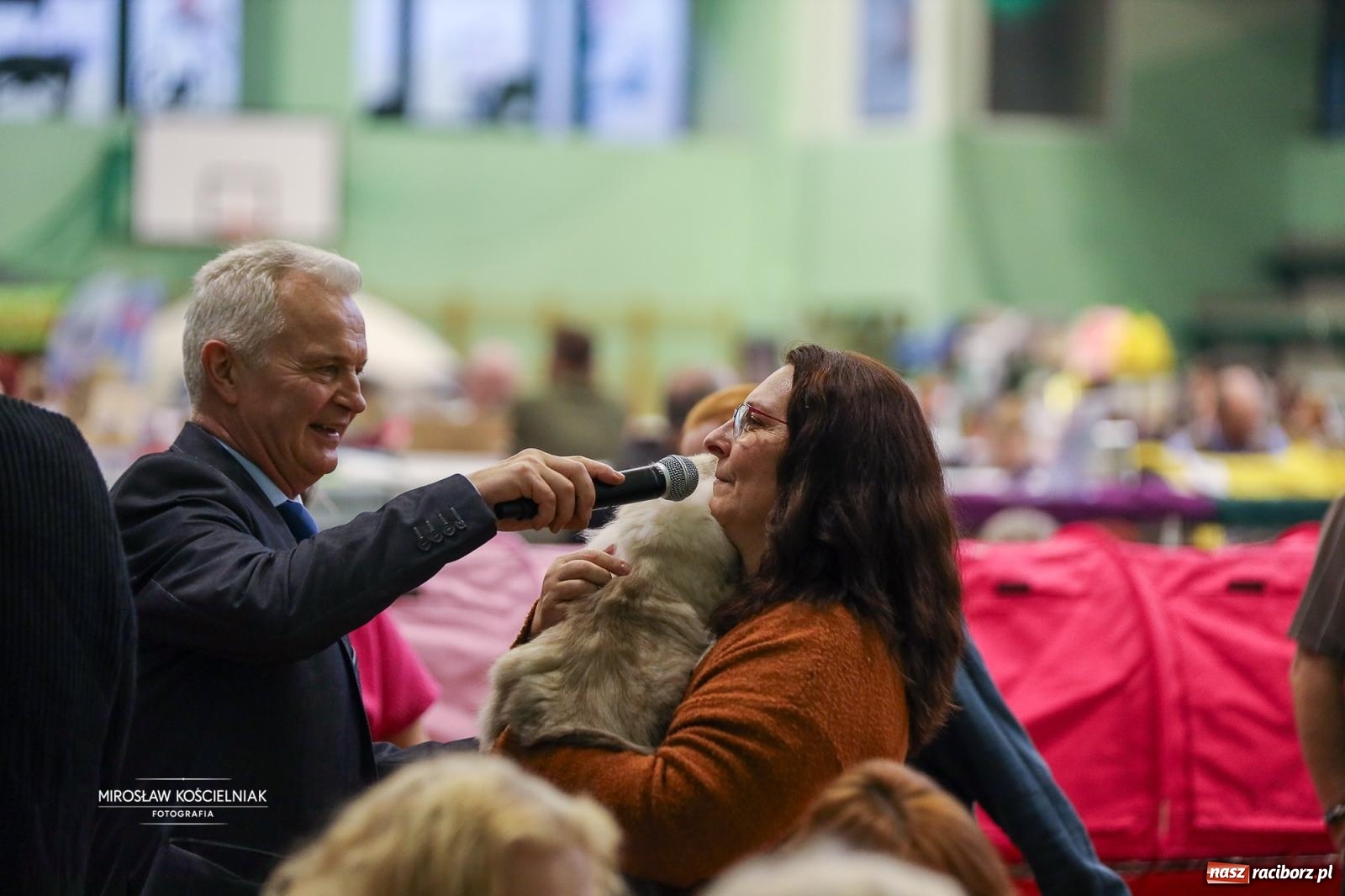 Zdjęcie w galerii na portalu naszraciborz.pl: Kocie piękno w Raciborzu. Trwa Międzynarodowa Wystawa Kotów w arenie Rafako wiadomości z regionu