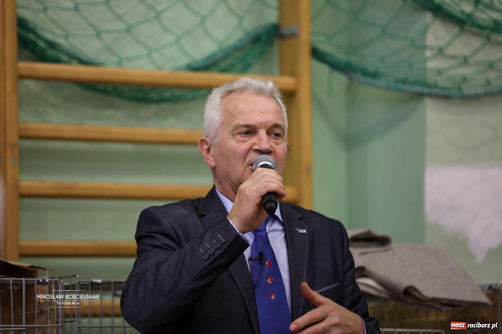 Zdjęcie w galerii na portalu naszraciborz.pl: Kocie piękno w Raciborzu. Trwa Międzynarodowa Wystawa Kotów w arenie Rafako wiadomości z regionu