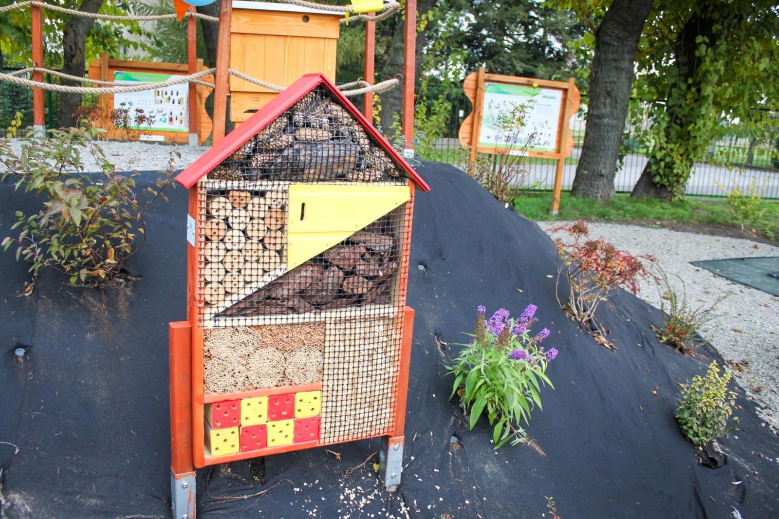Zdjęcie w galerii na portalu naszraciborz.pl: Zielona lekcja w plenerze. Otwarto Ekopracownię pod chmurką w Babicach wiadomości z regionu