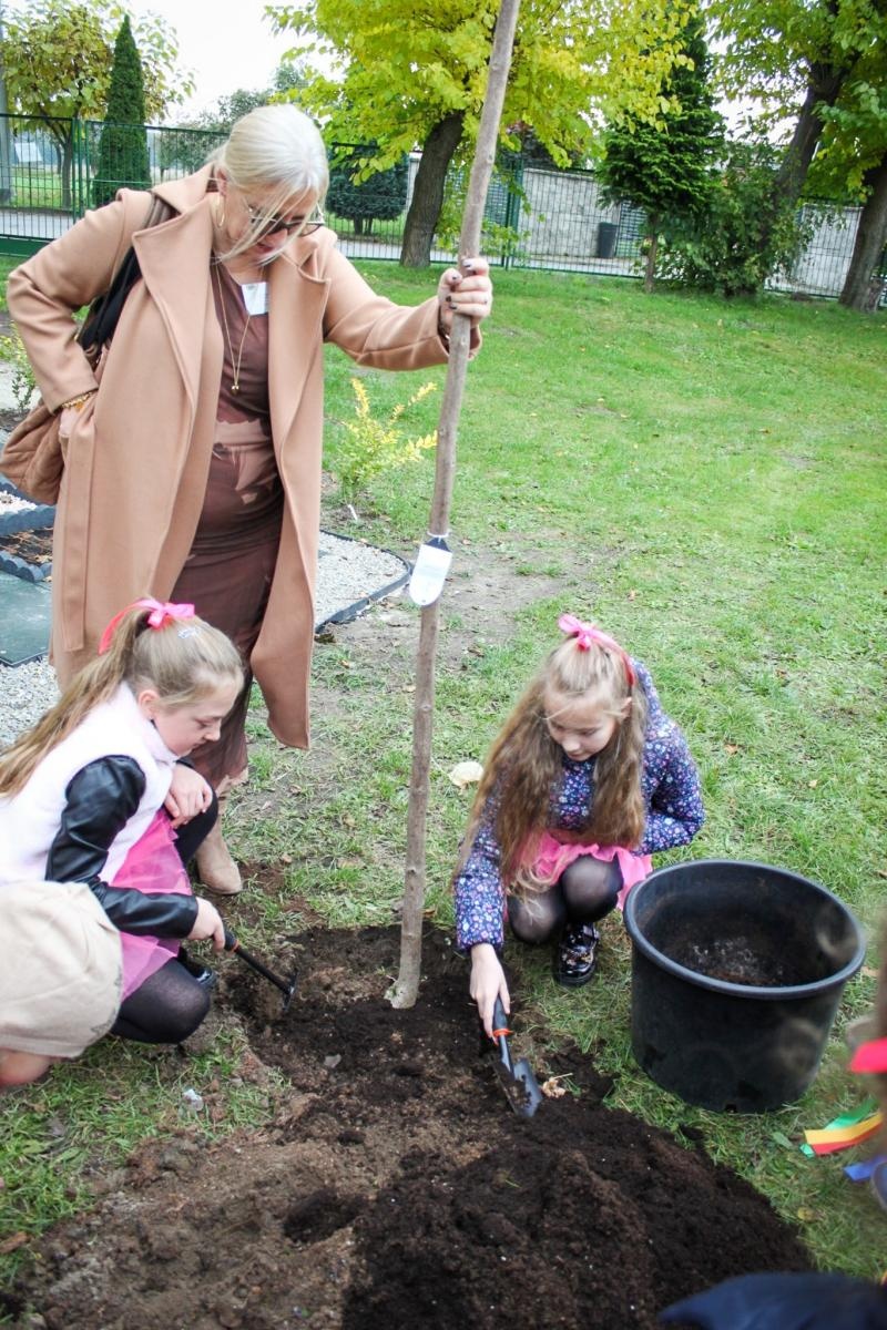 Zdjęcie w galerii na portalu naszraciborz.pl: Zielona lekcja w plenerze. Otwarto Ekopracownię pod chmurką w Babicach wiadomości z regionu