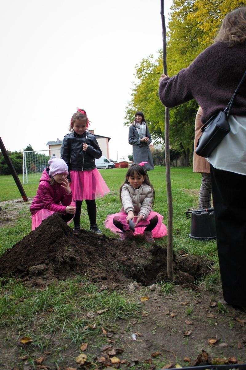 Zdjęcie w galerii na portalu naszraciborz.pl: Zielona lekcja w plenerze. Otwarto Ekopracownię pod chmurką w Babicach wiadomości z regionu