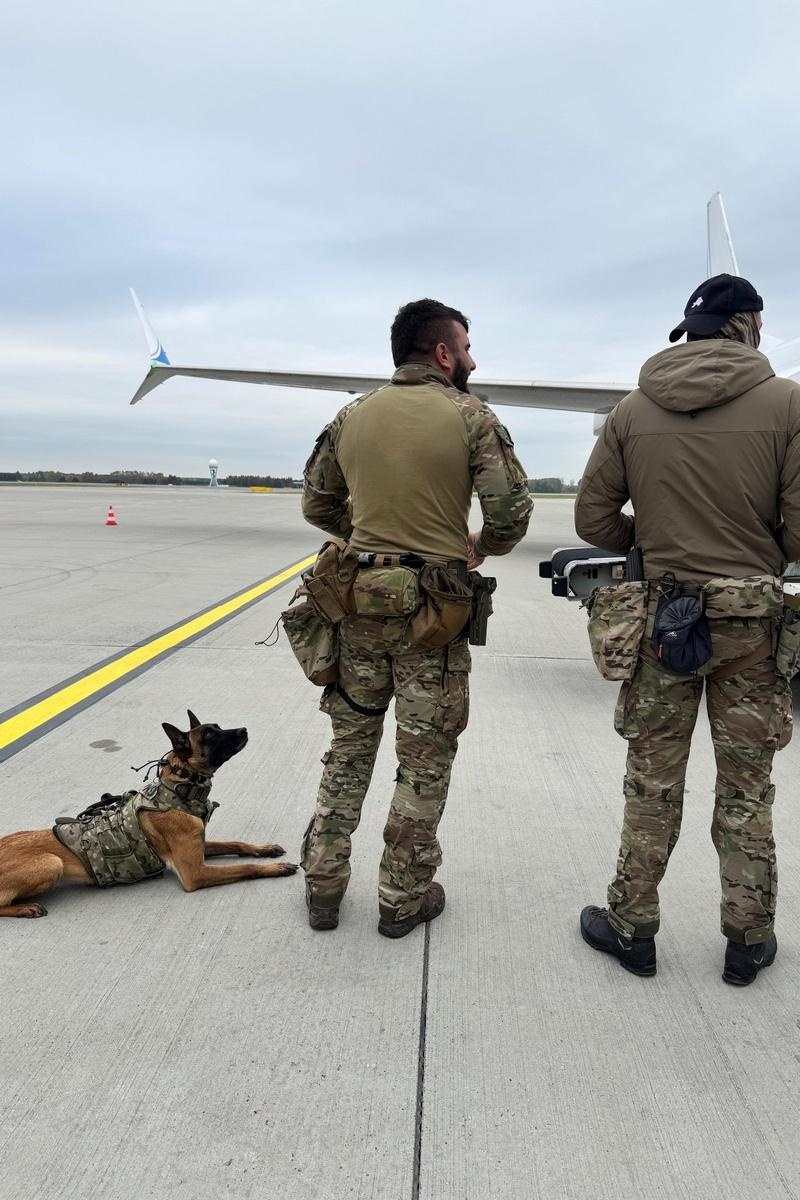 Zdjęcie w galerii na portalu naszraciborz.pl: Wspólne ćwiczenia przewodników psów służbowych wyspecjalizowanych w wykrywaniu materiałów wybuchowych i broni wiadomości z regionu