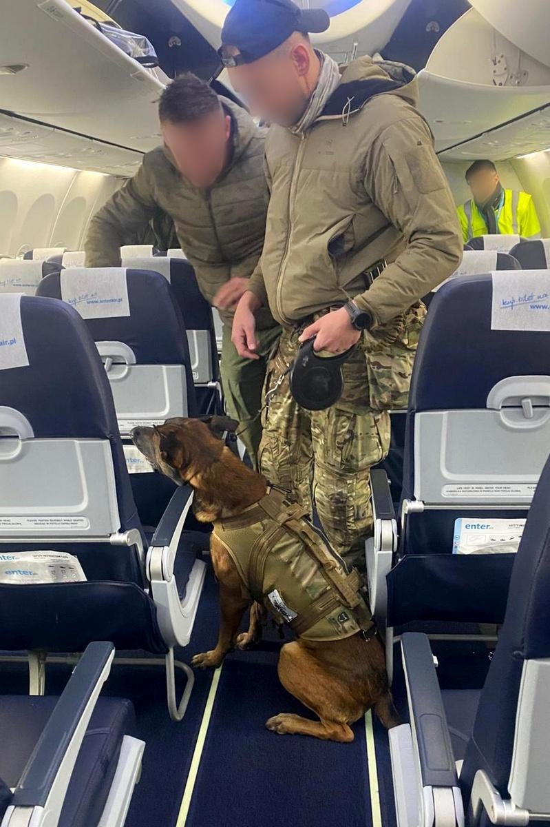 Zdjęcie w galerii na portalu naszraciborz.pl: Wspólne ćwiczenia przewodników psów służbowych wyspecjalizowanych w wykrywaniu materiałów wybuchowych i broni wiadomości z regionu