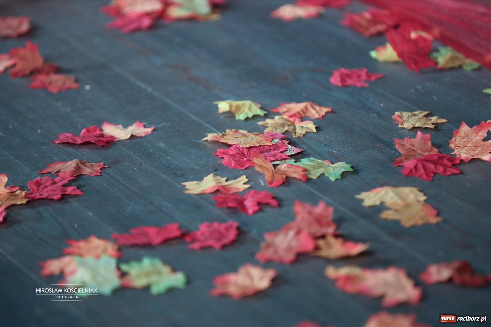 Zdjęcie w galerii na portalu naszraciborz.pl: 50-lecie Przedszkola nr 3 w Raciborzu w RCK Strzecha [FOTO i WIDEO] wiadomości z regionu