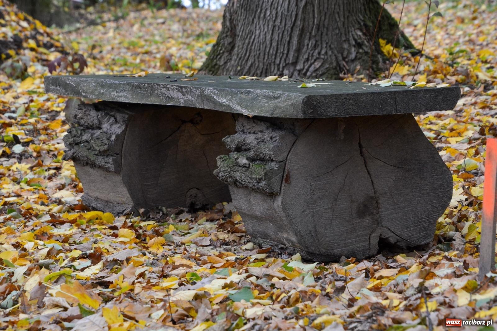 Zdjęcie w galerii na portalu naszraciborz.pl: Nowe oblicze parku przy pałacu w Sławikowie – rekreacja, przyroda i historia w harmonii wiadomości z regionu
