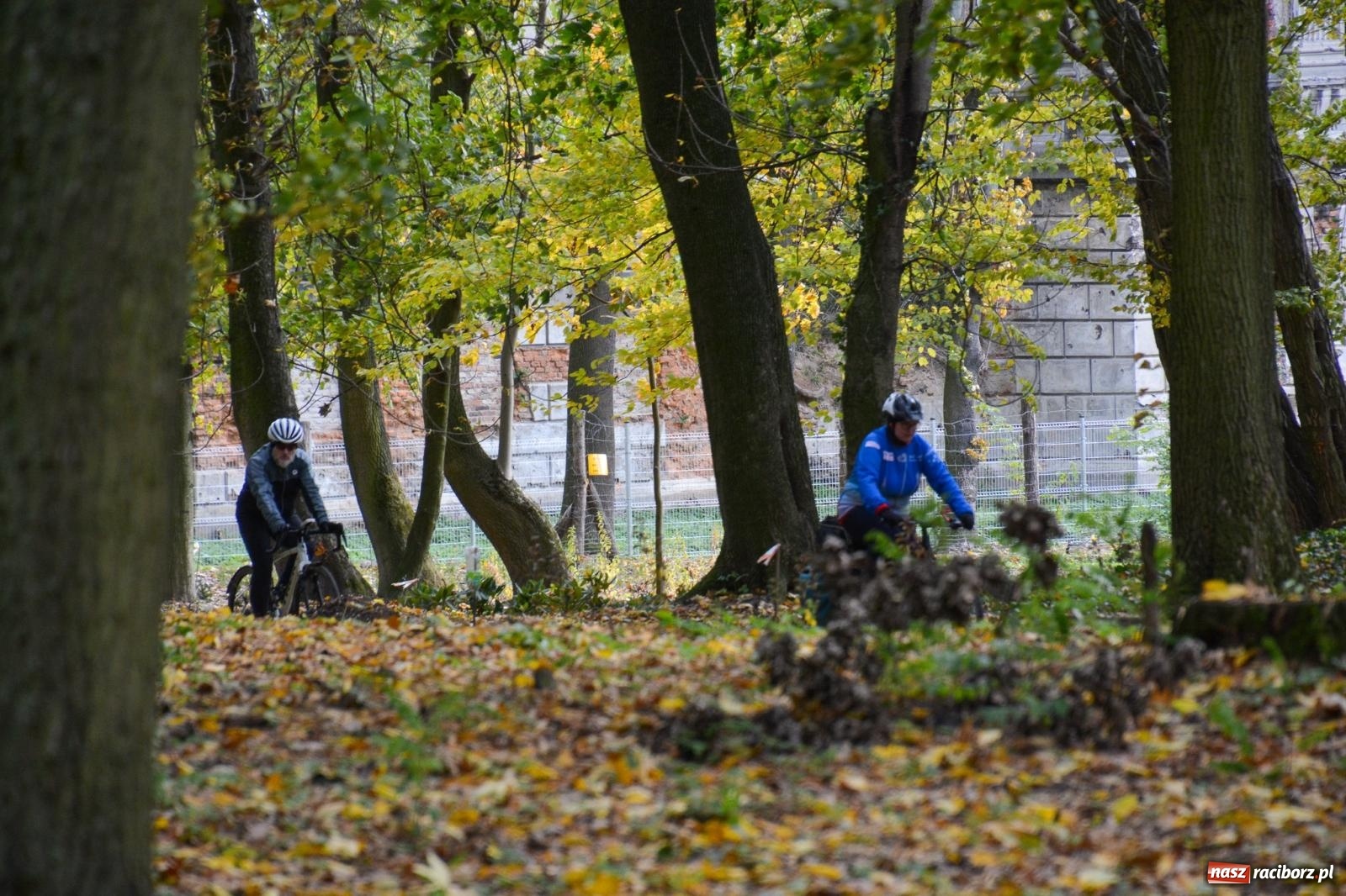 Zdjęcie w galerii na portalu naszraciborz.pl: Nowe oblicze parku przy pałacu w Sławikowie – rekreacja, przyroda i historia w harmonii wiadomości z regionu