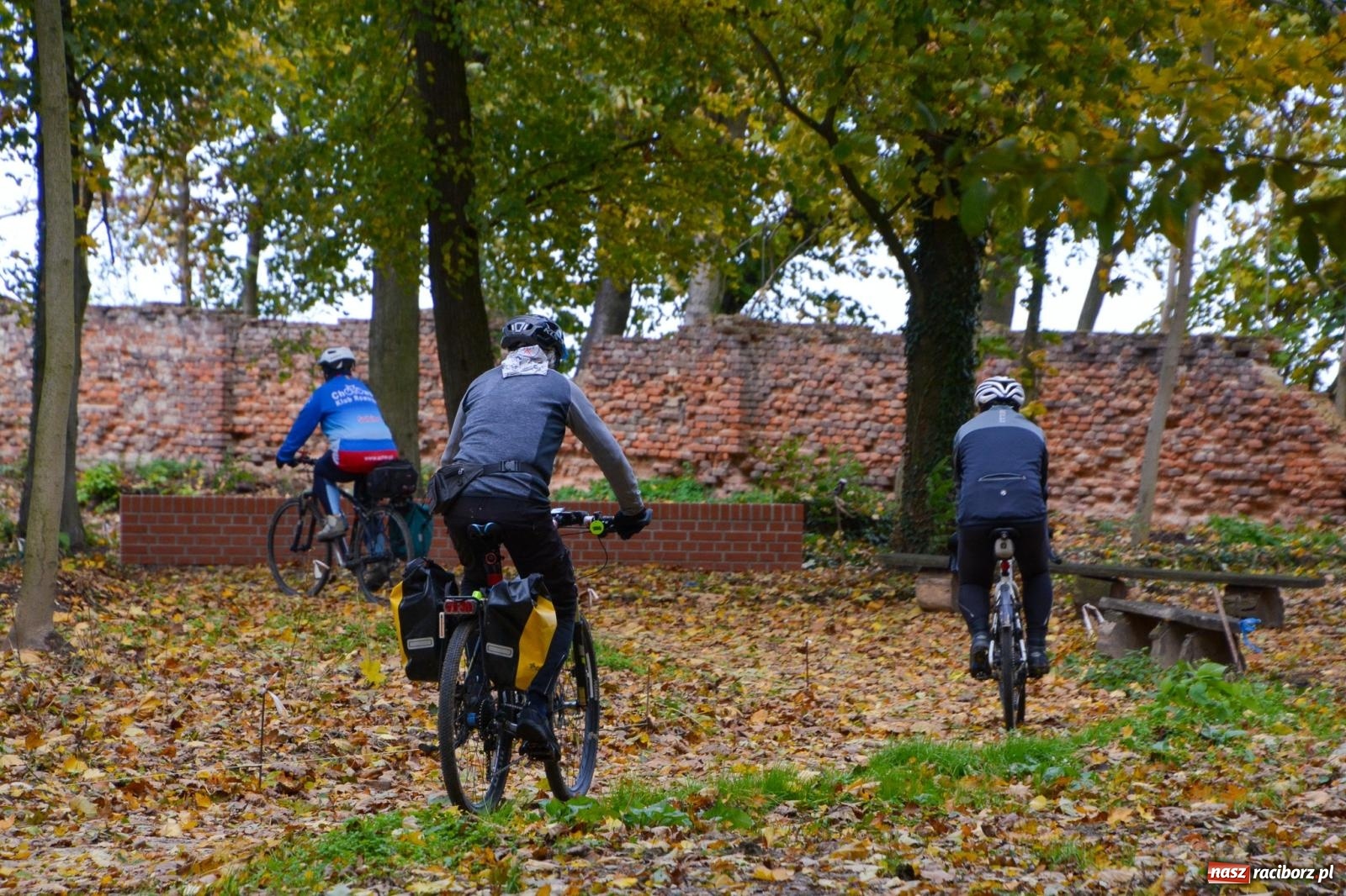 Zdjęcie w galerii na portalu naszraciborz.pl: Nowe oblicze parku przy pałacu w Sławikowie – rekreacja, przyroda i historia w harmonii wiadomości z regionu