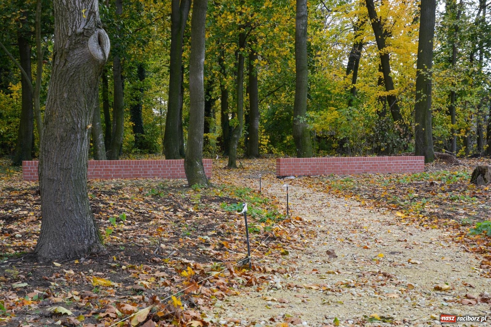 Zdjęcie w galerii na portalu naszraciborz.pl: Nowe oblicze parku przy pałacu w Sławikowie – rekreacja, przyroda i historia w harmonii wiadomości z regionu