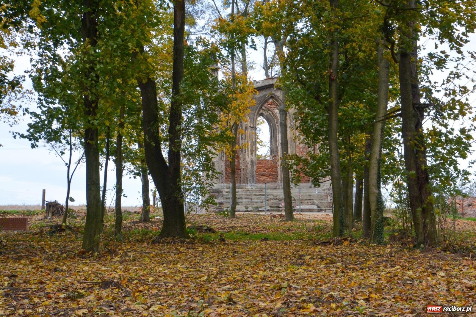 Zdjęcie w galerii na portalu naszraciborz.pl: Nowe oblicze parku przy pałacu w Sławikowie – rekreacja, przyroda i historia w harmonii wiadomości z regionu