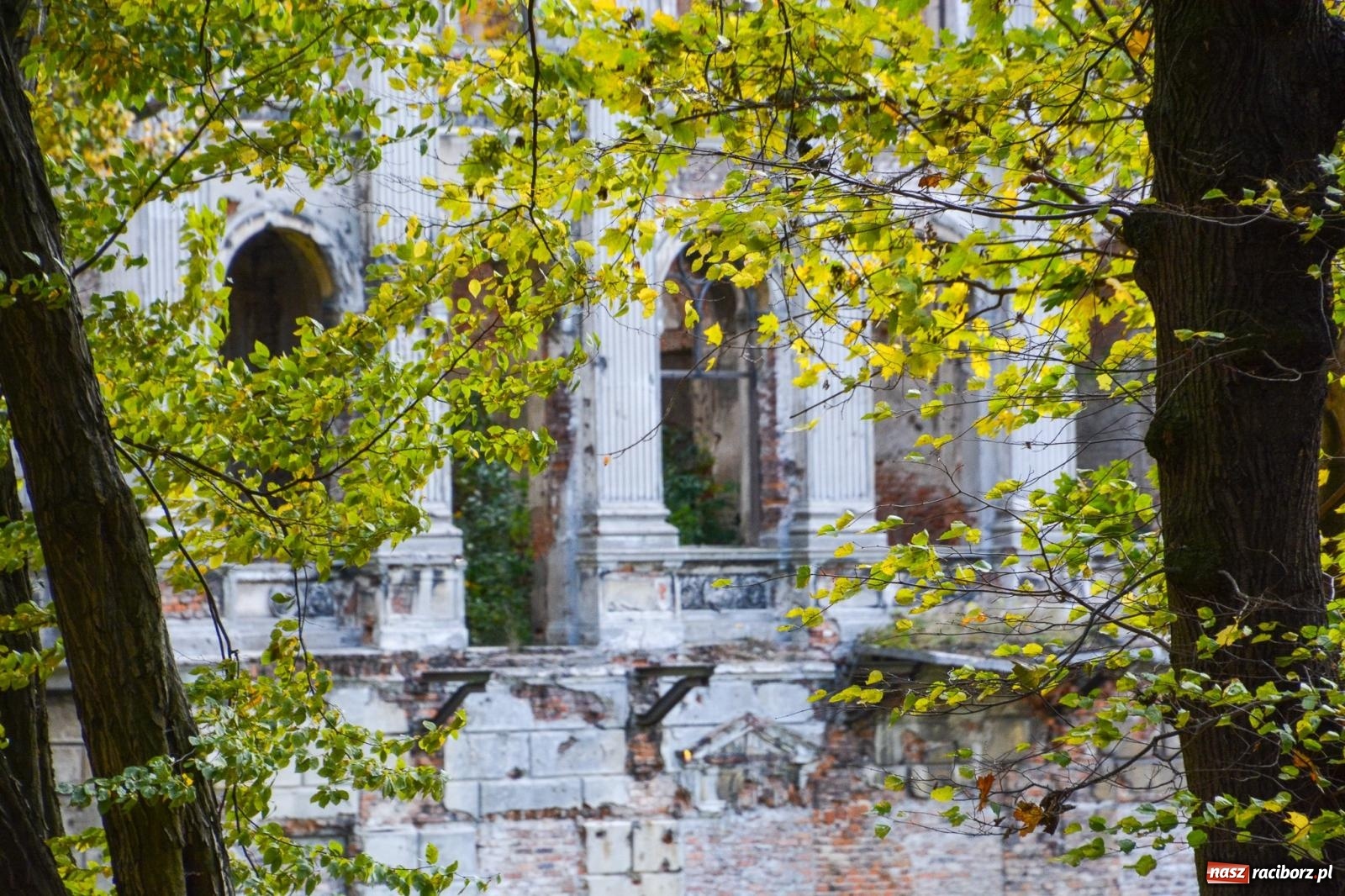 Zdjęcie w galerii na portalu naszraciborz.pl: Nowe oblicze parku przy pałacu w Sławikowie – rekreacja, przyroda i historia w harmonii wiadomości z regionu