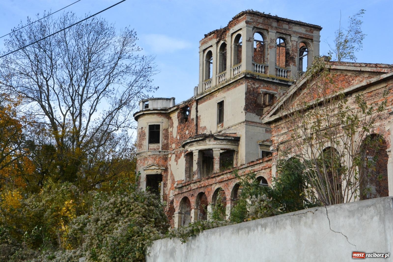 Zdjęcie w galerii na portalu naszraciborz.pl: Nowe oblicze parku przy pałacu w Sławikowie – rekreacja, przyroda i historia w harmonii wiadomości z regionu
