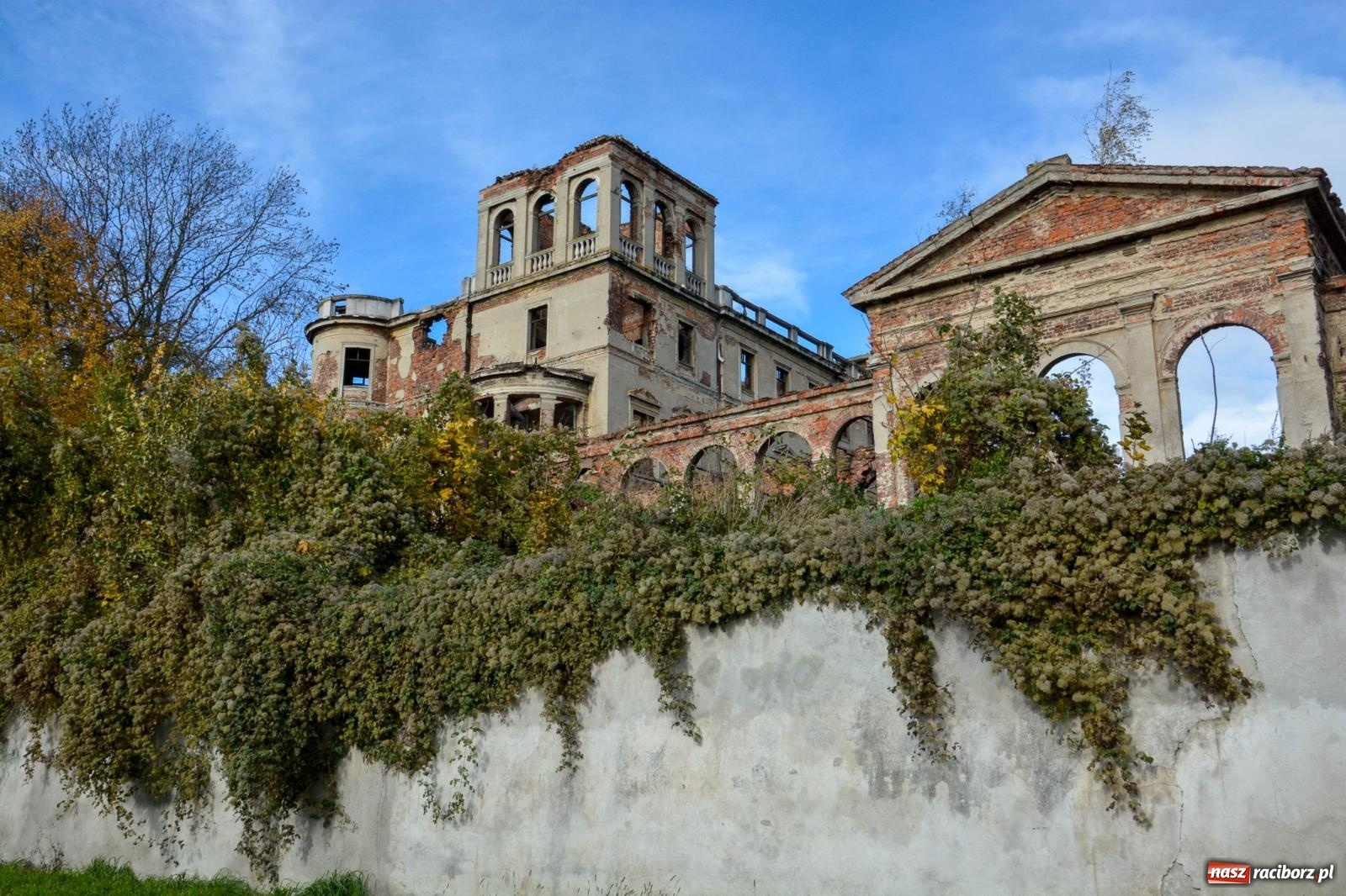Zdjęcie w galerii na portalu naszraciborz.pl: Nowe oblicze parku przy pałacu w Sławikowie – rekreacja, przyroda i historia w harmonii wiadomości z regionu