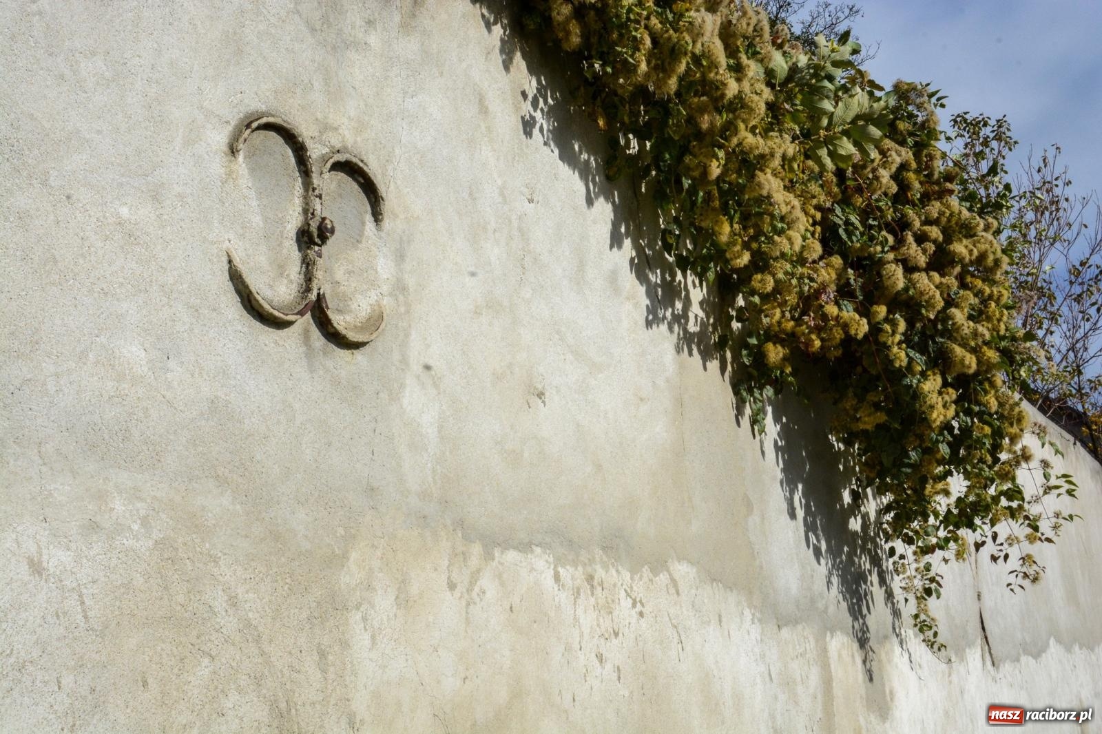 Zdjęcie w galerii na portalu naszraciborz.pl: Nowe oblicze parku przy pałacu w Sławikowie – rekreacja, przyroda i historia w harmonii wiadomości z regionu