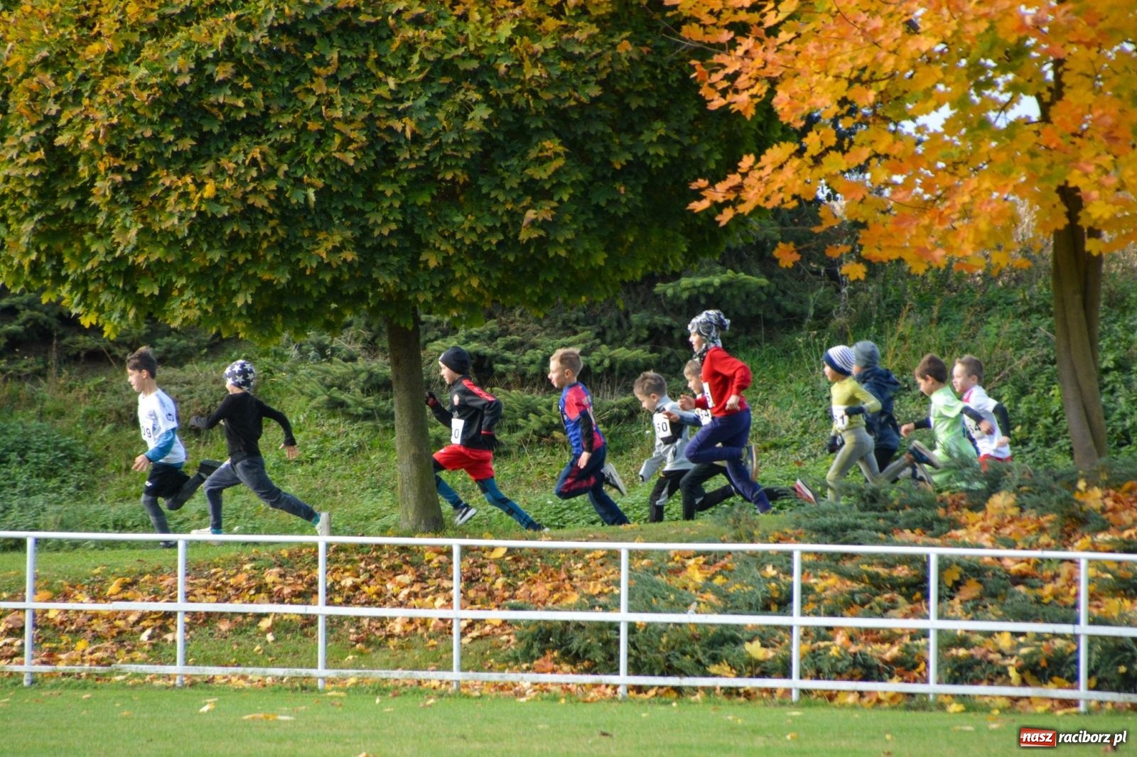 Zdjęcie w galerii na portalu naszraciborz.pl: Radosne przedpołudnie na sportowo w Pietrowicach Wielkich [FOTO i WIDEO] wiadomości z regionu