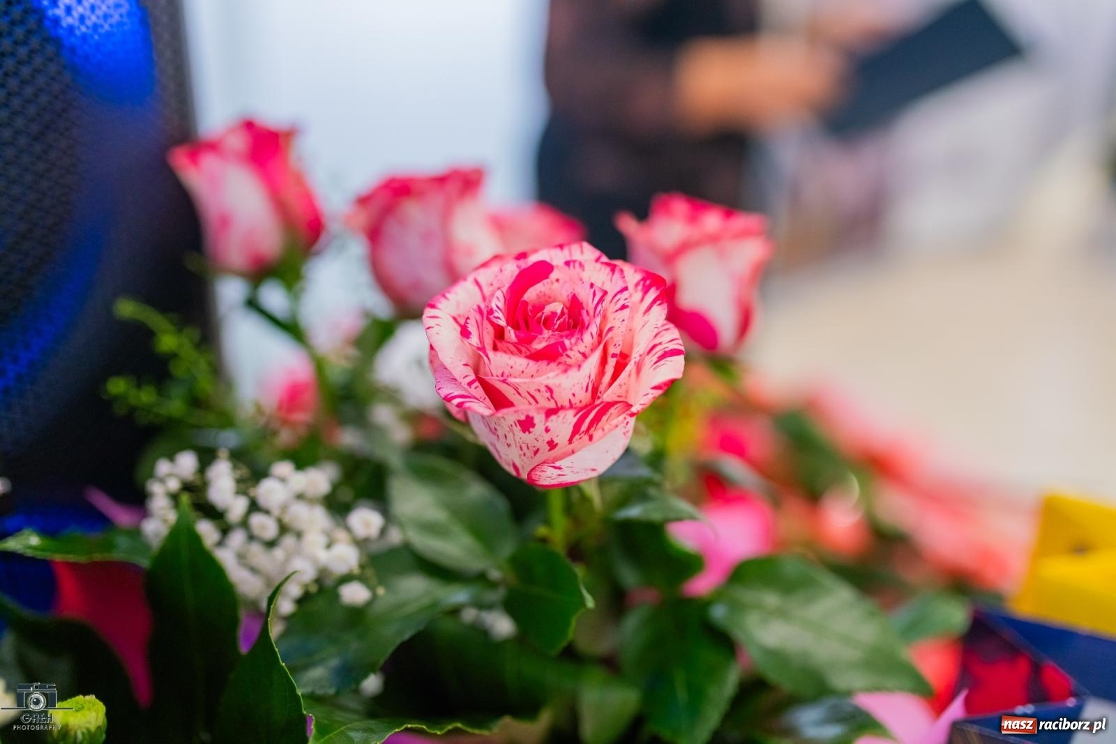 Zdjęcie w galerii na portalu naszraciborz.pl: Emeryci świętowali w restauracji Raciborska. Dla seniorów zaśpiewał finalista The Voice Kids [FOTO i WIDEO] wiadomości z regionu