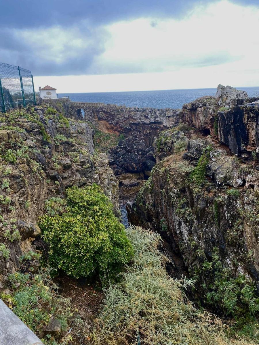Zdjęcie w galerii na portalu naszraciborz.pl: Raciborzanie na trasie maratonu w Lizbonie wiadomości z regionu