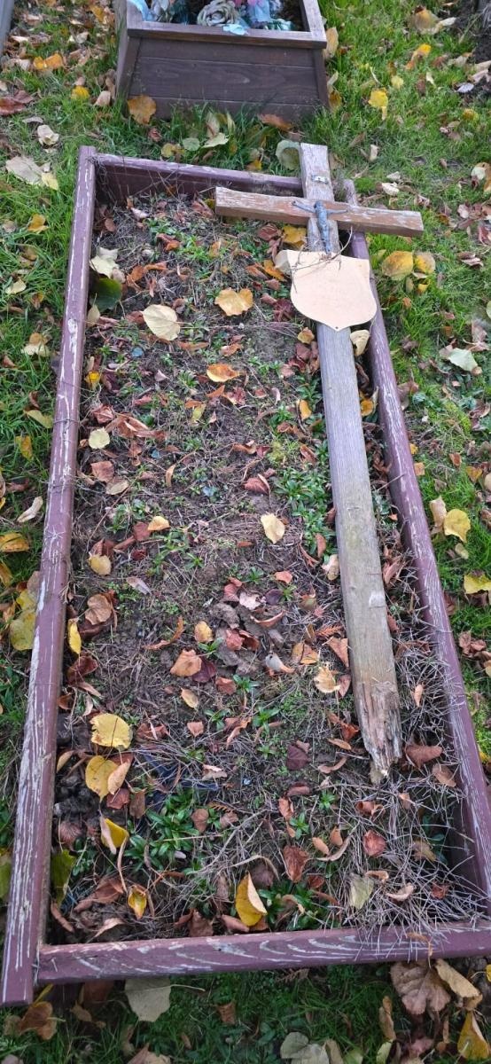 Zdjęcie w galerii na portalu naszraciborz.pl: Wolontariusze Polski 2050 po raz piąty sprzątają zapomniane groby w Raciborzu wiadomości z regionu