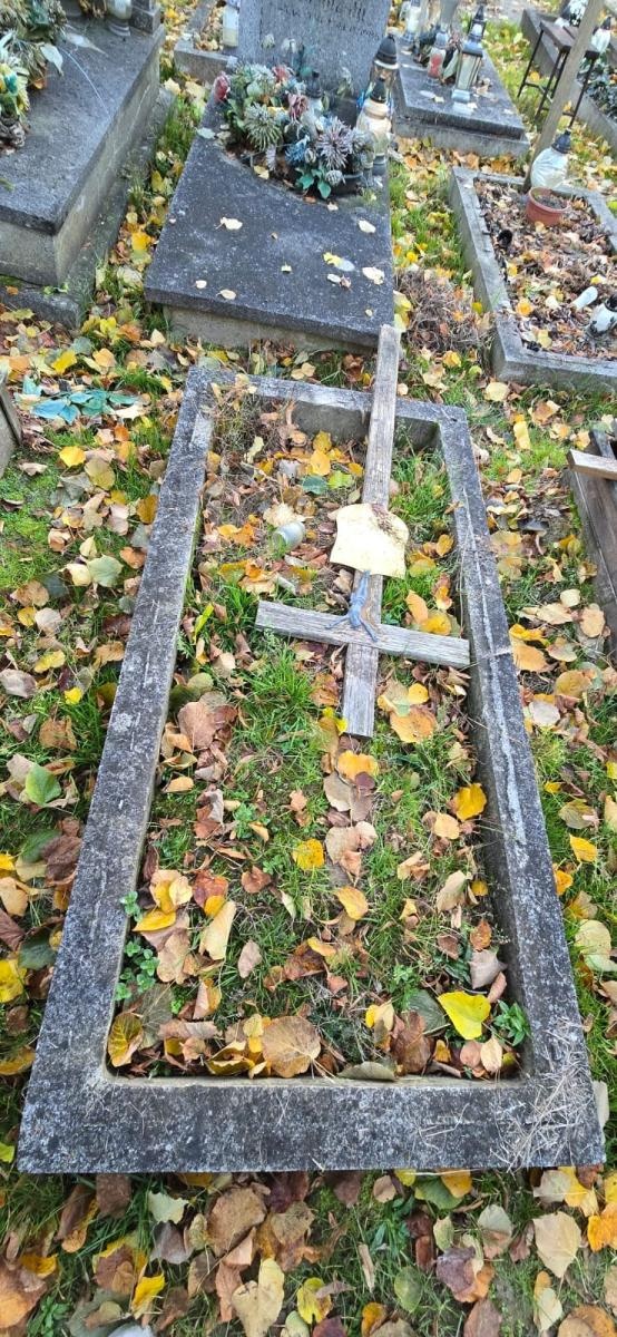 Zdjęcie w galerii na portalu naszraciborz.pl: Wolontariusze Polski 2050 po raz piąty sprzątają zapomniane groby w Raciborzu wiadomości z regionu