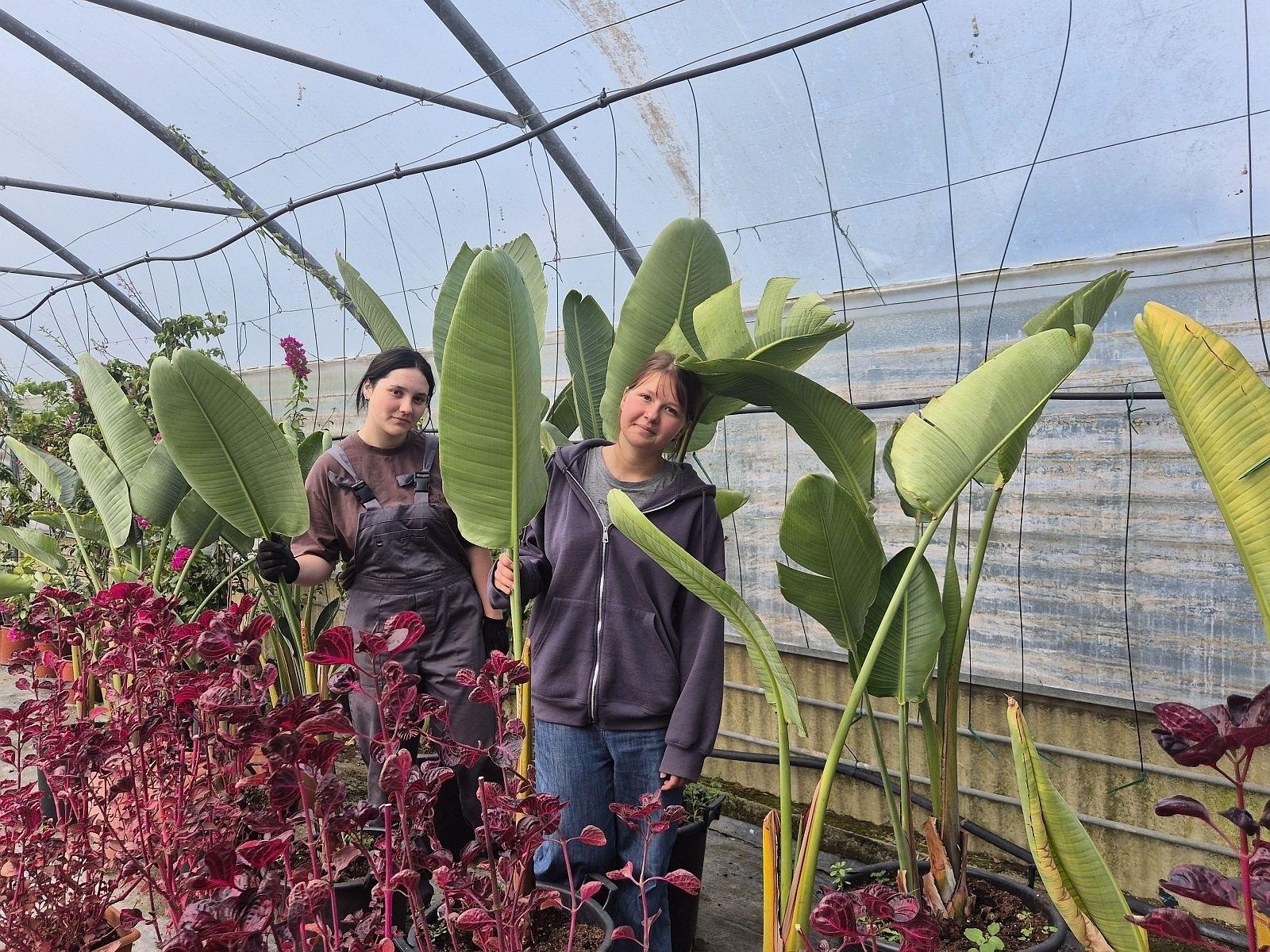 Zdjęcie w galerii na portalu naszraciborz.pl: CKZiU nr 1 Racibórz: ze szkolnej ławki… prosto na greckie słońce! wiadomości z regionu