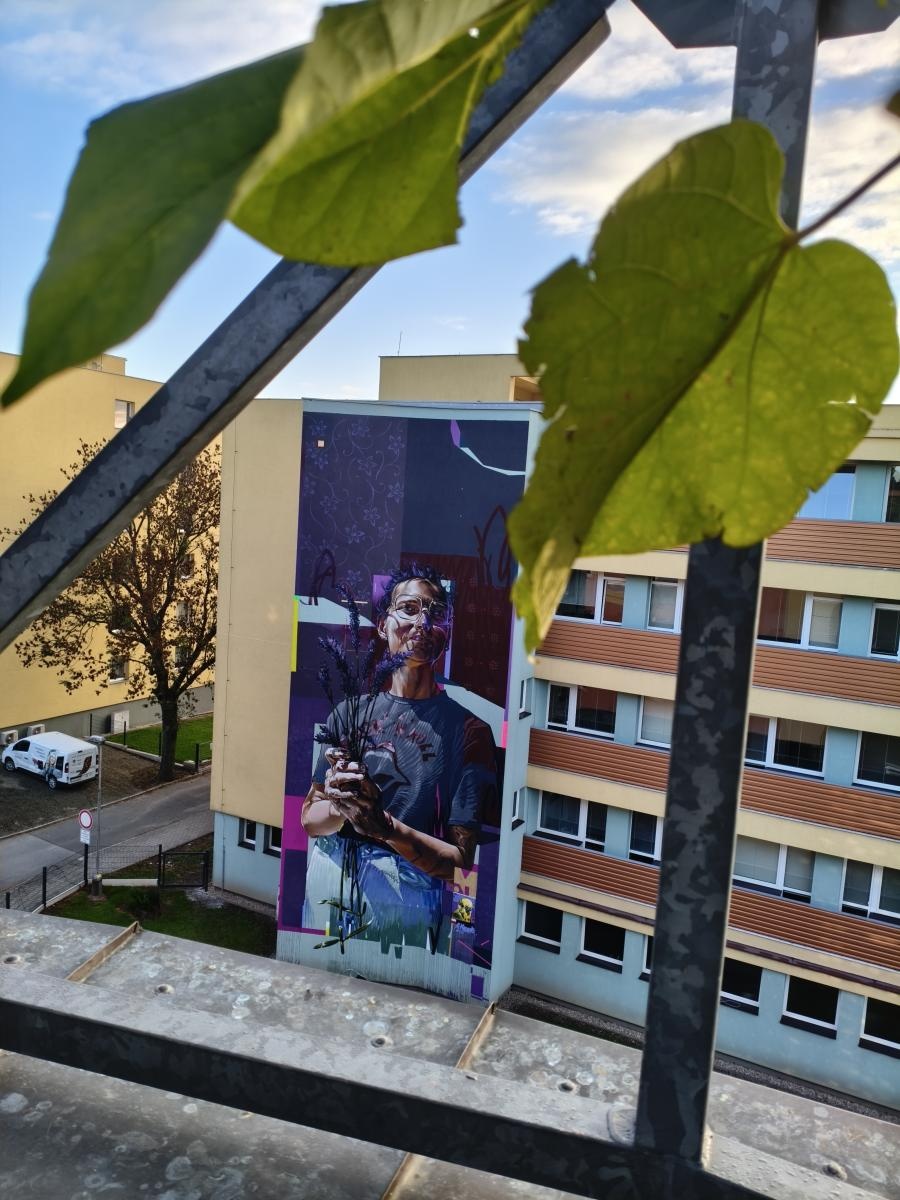 Zdjęcie w galerii na portalu naszraciborz.pl: Mural raciborzanina Ryszarda Paurowskiego z nominacją w międzynarodowym konkursie wiadomości z regionu
