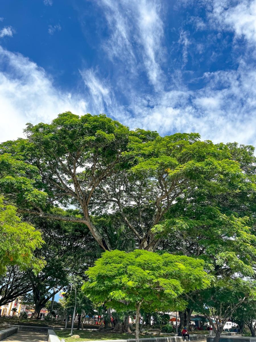 Zdjęcie w galerii na portalu naszraciborz.pl: Raciborzanie ze Źródła koncertowali w Ameryce Południowej wiadomości z regionu