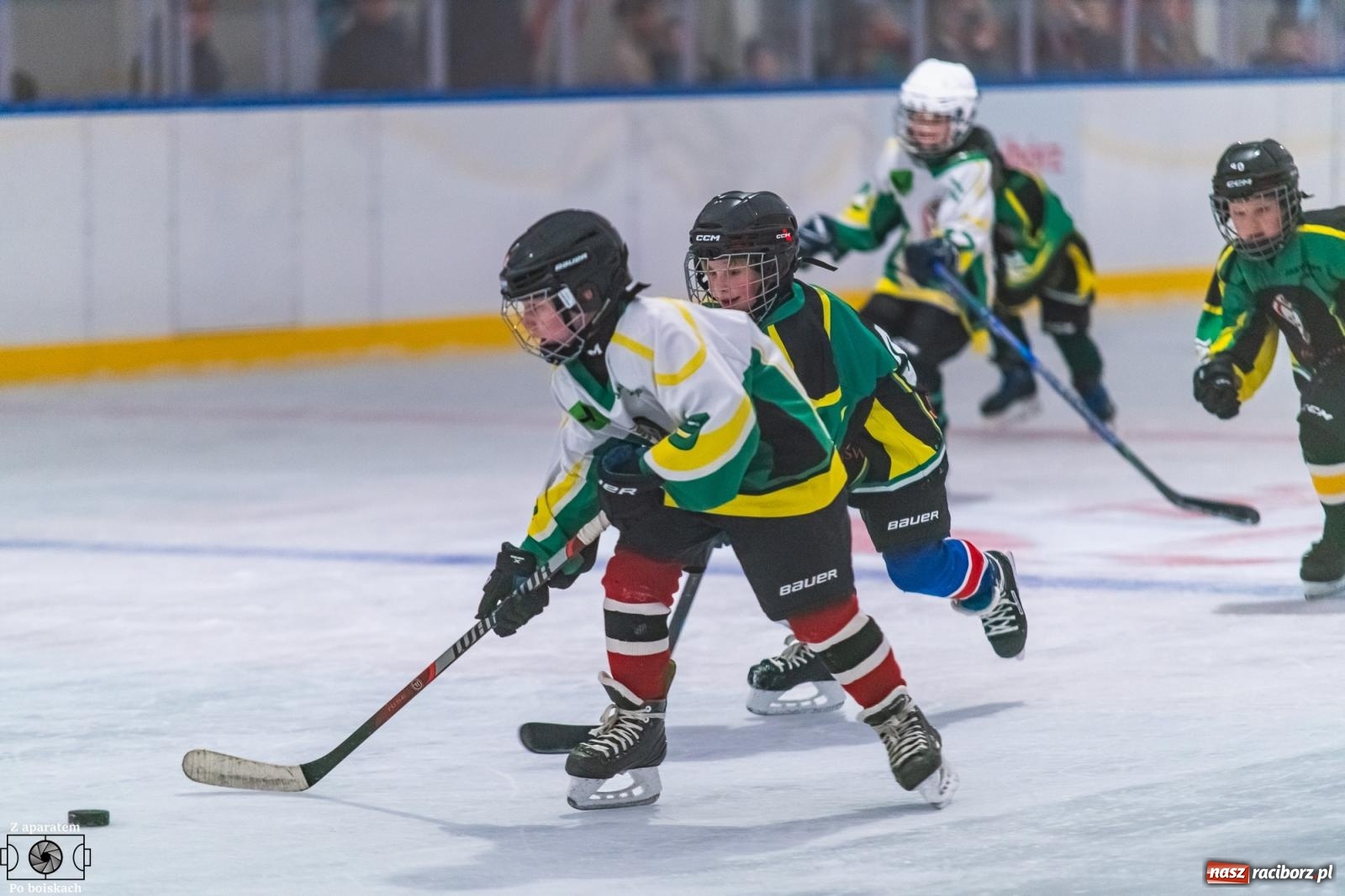 Zdjęcie w galerii na portalu naszraciborz.pl: Młodzi hokeiści JKH GKS Jastrzębie zaprezentowali swe umiejętności [FOTO i WIDEO] wiadomości z regionu