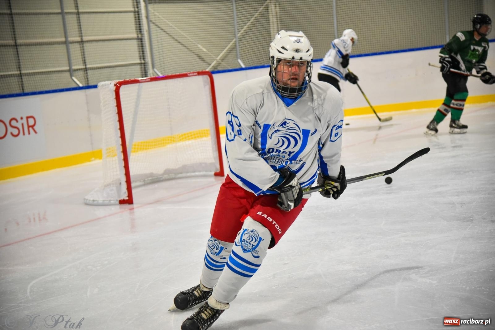 Zdjęcie w galerii na portalu naszraciborz.pl: Dragons Pszów pokonali Orły OSiR-u Racibórz. Hokej wrócił na Piastor [FOTO] wiadomości z regionu