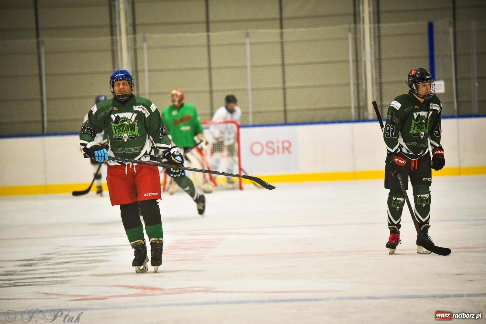 Zdjęcie w galerii na portalu naszraciborz.pl: Dragons Pszów pokonali Orły OSiR-u Racibórz. Hokej wrócił na Piastor [FOTO] wiadomości z regionu
